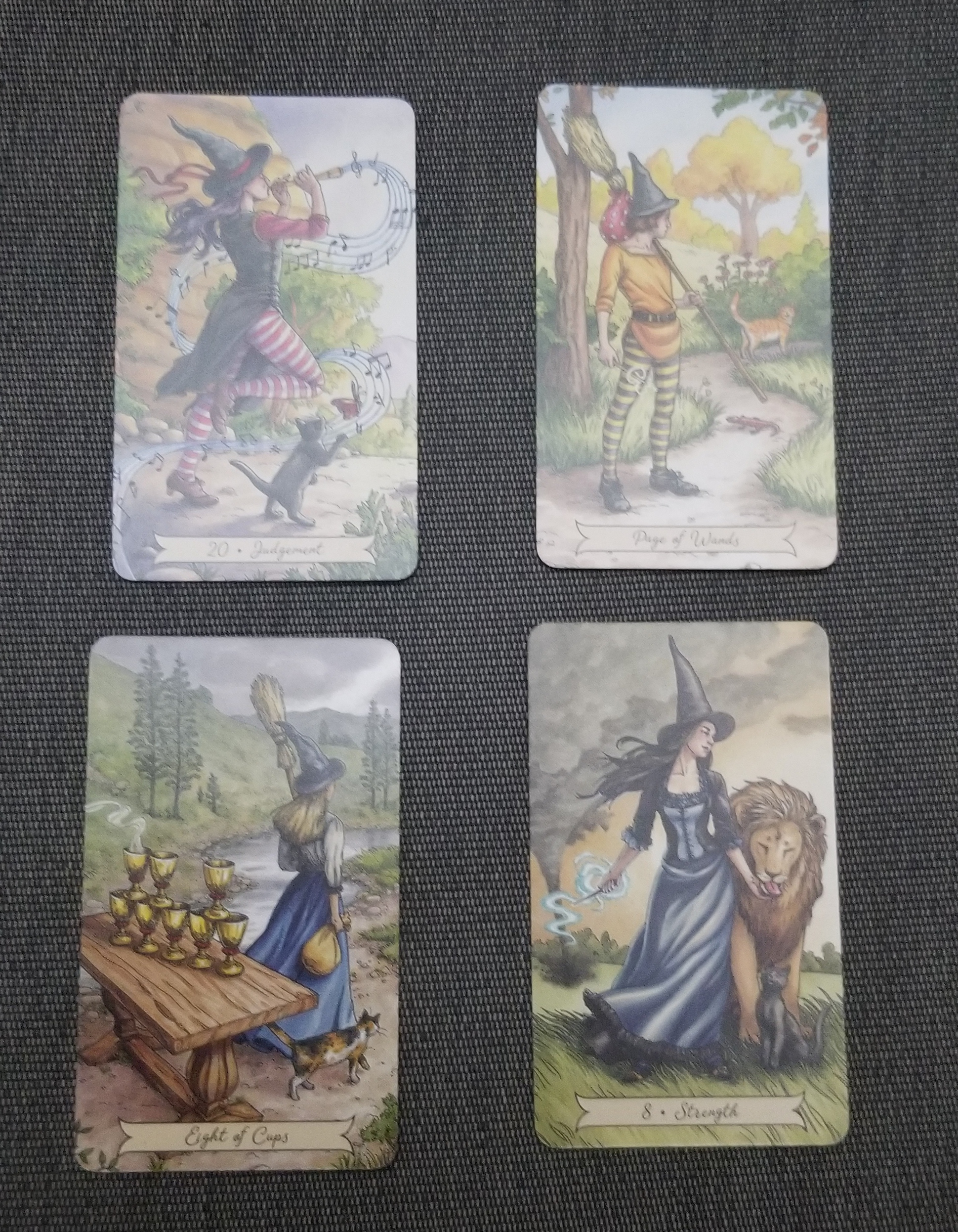 FavouriteCardsAnimals